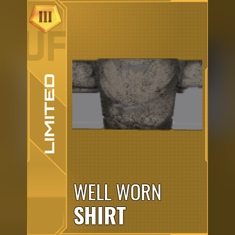 Well Worn Shirt — NFL Universe item